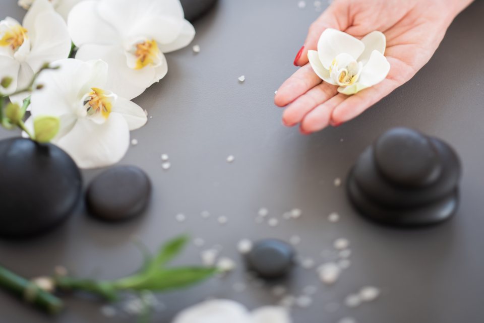 Hand holding an orchid over spa stones